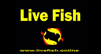 Live Fish Exclusive